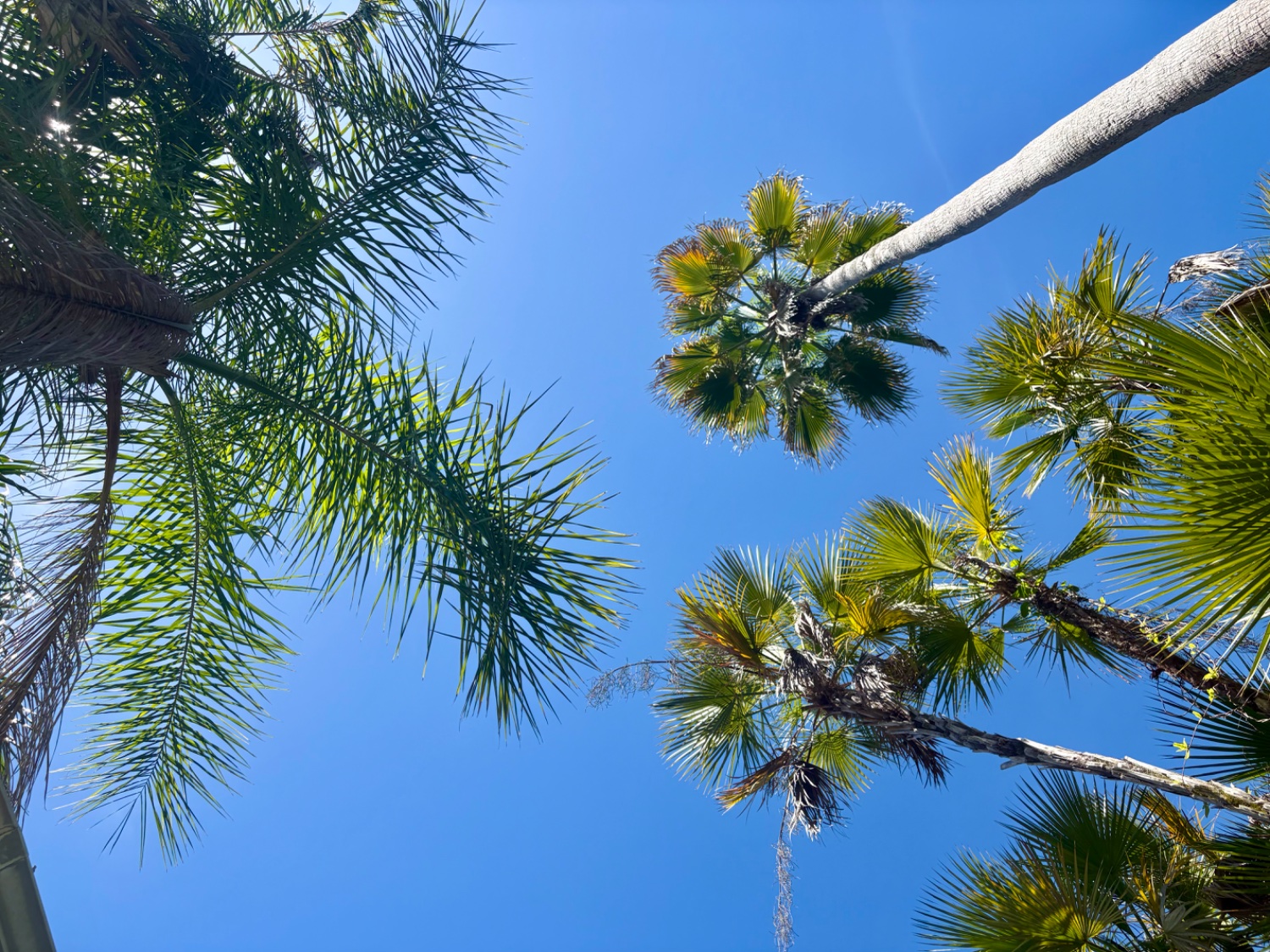 Phil 🇺🇸 banner