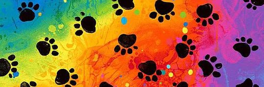 PupJim86's profile banner image