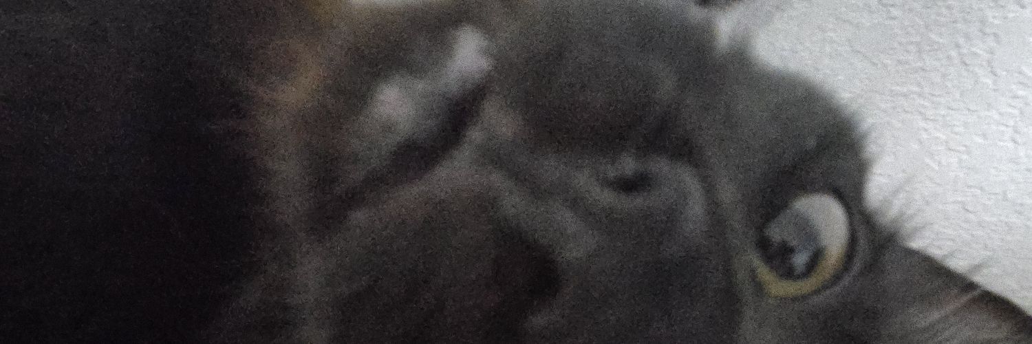 imnottrib's profile banner image