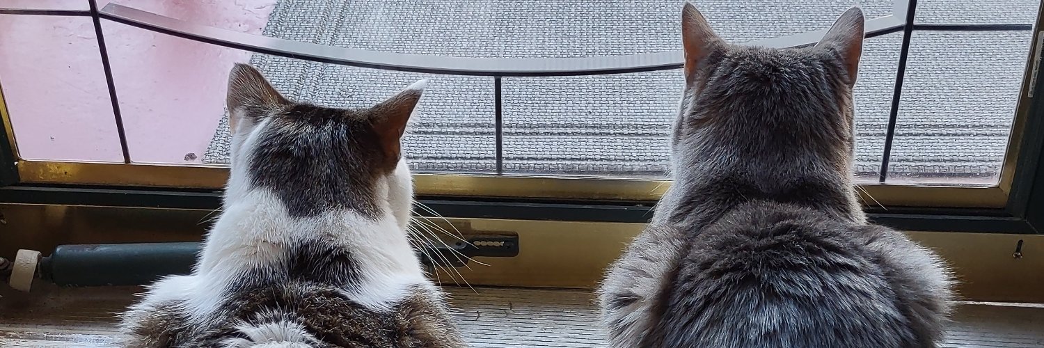 Mark (Shamark) banner