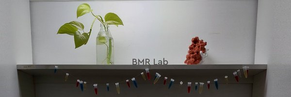 bmr_ibr Profile Banner