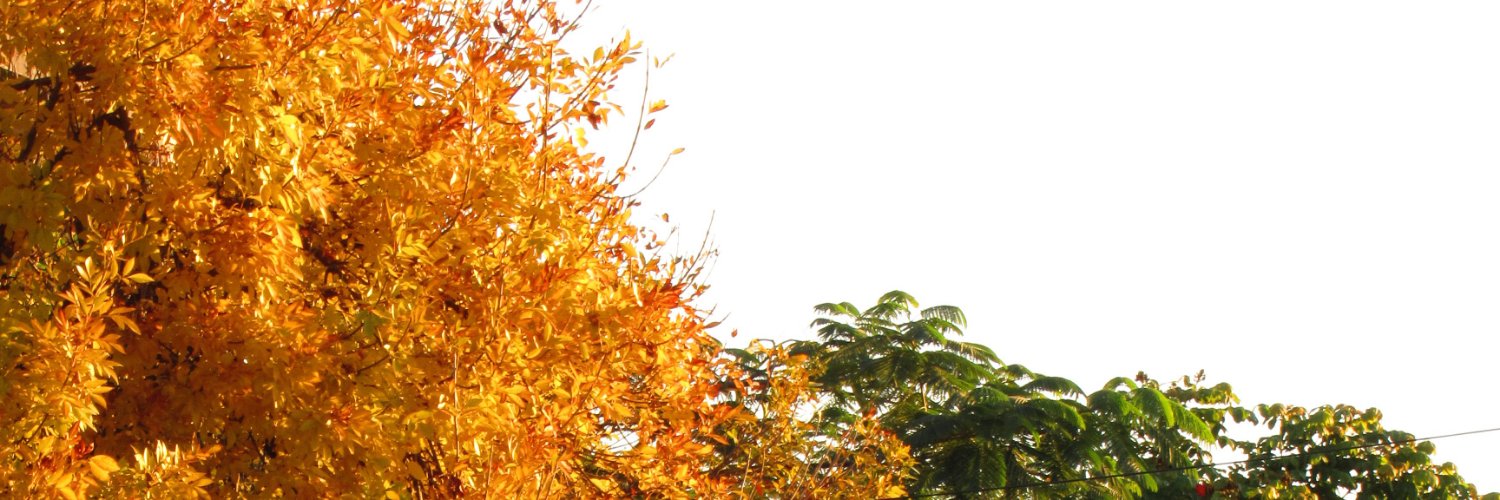 _llluuuuu's profile banner image