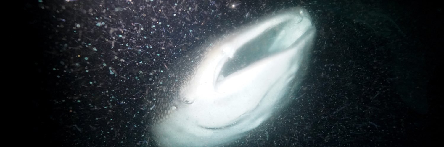 حسن ظبيك 📸 🎥 banner