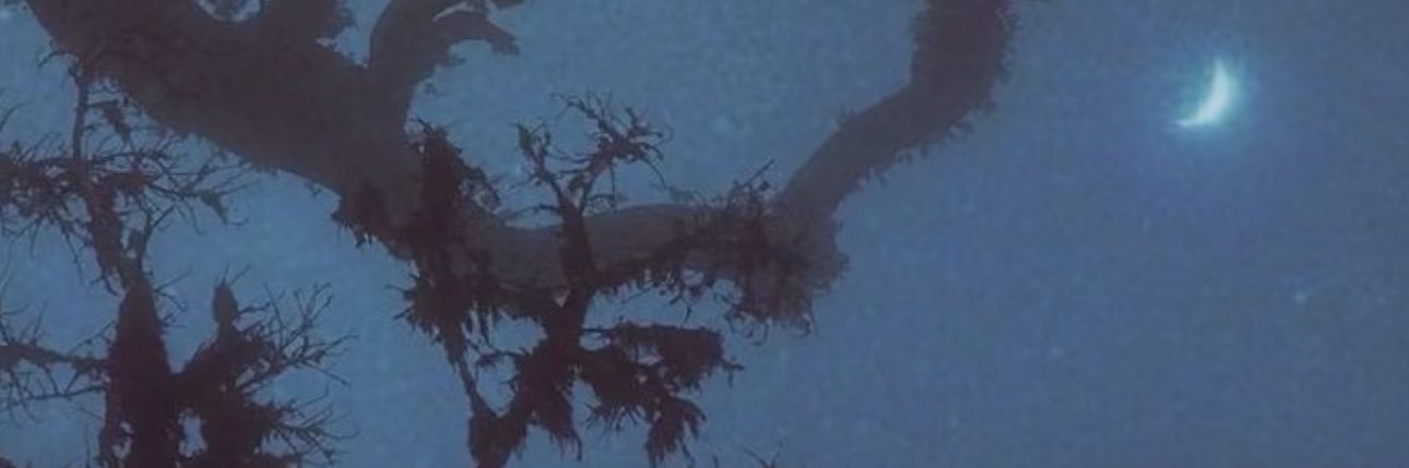 yourlocalmime's profile banner image