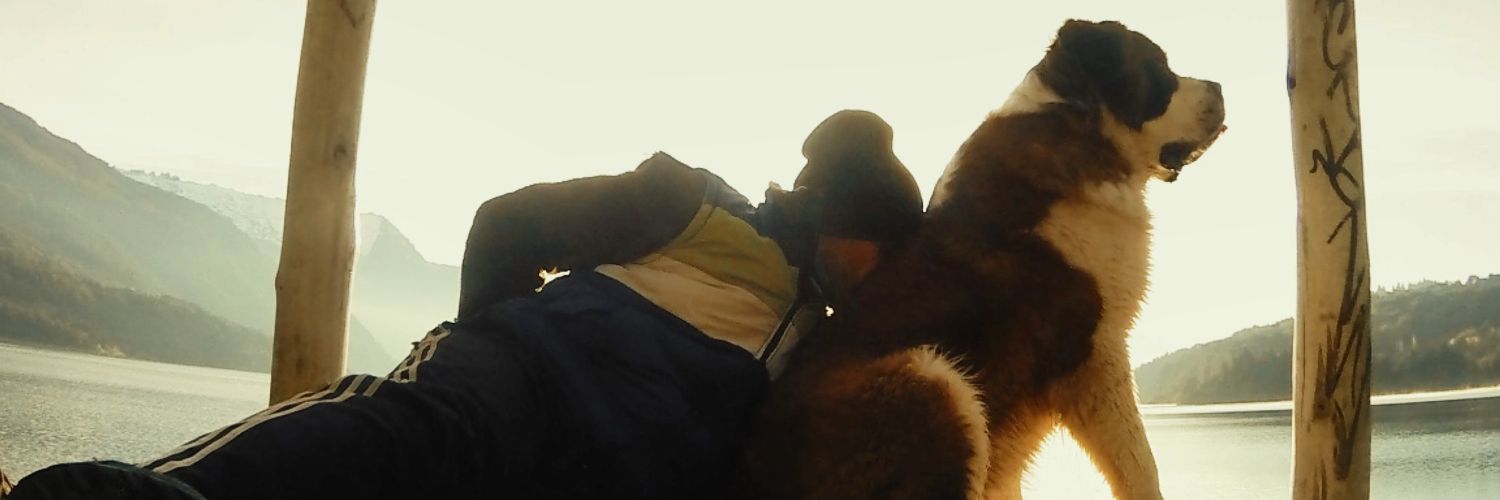 charlygravlax's profile banner image