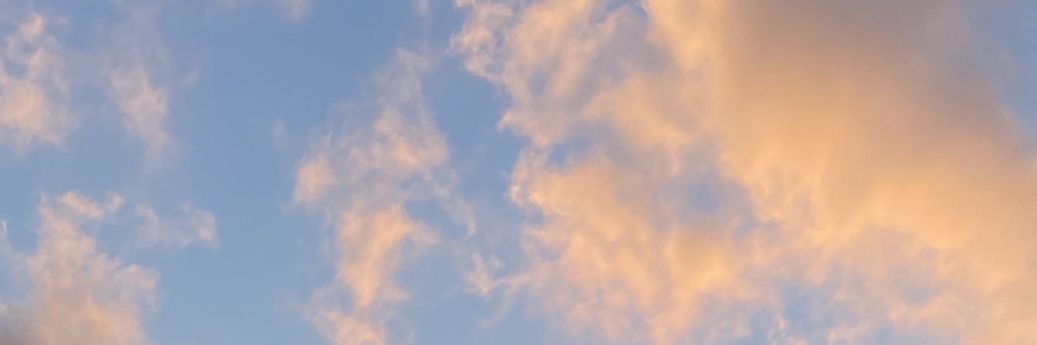 frogrrystyles's profile banner image