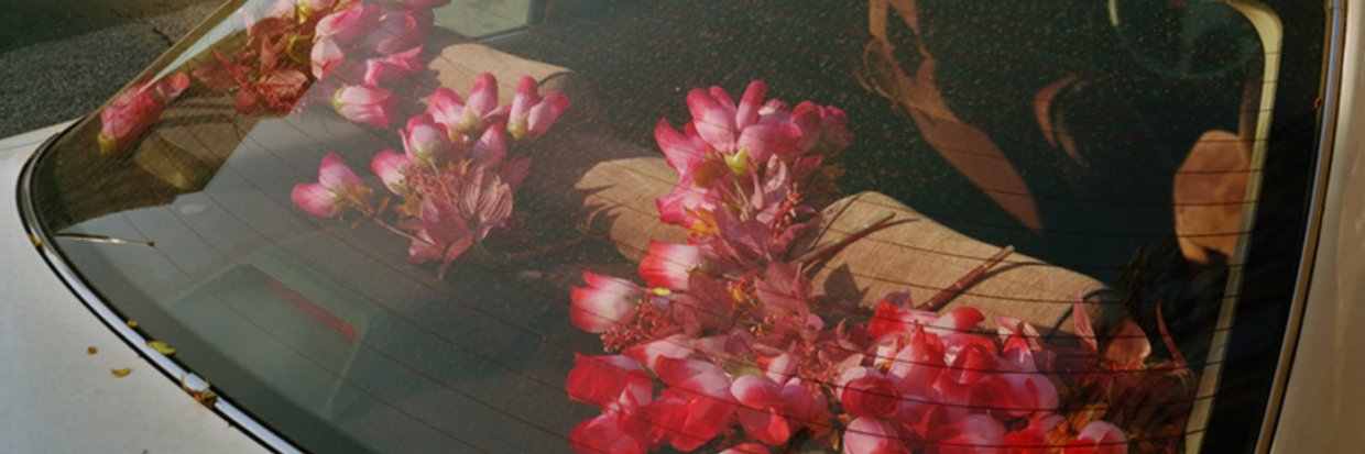 MariJoanna's banner