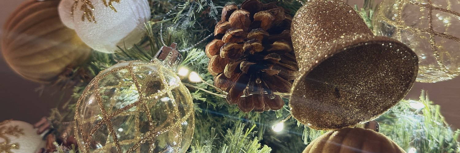 たいやき🐟 banner