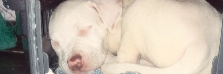 iglockd's profile banner image