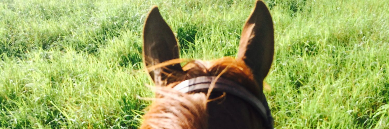 thaschubs's profile banner image