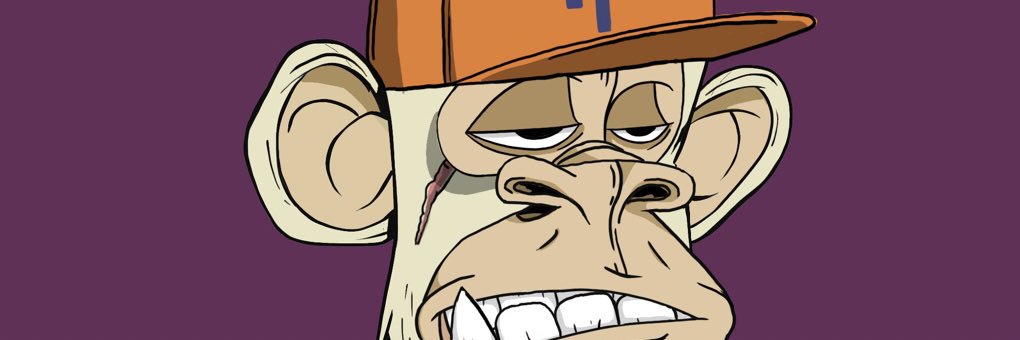 Bobs banner