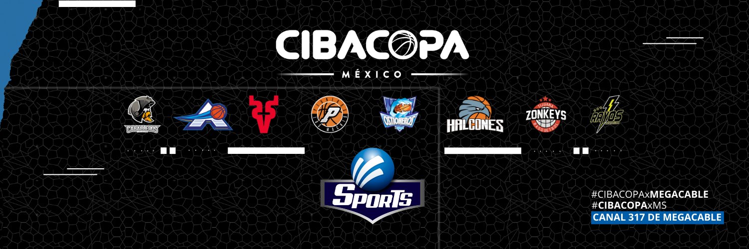 MegaSports banner