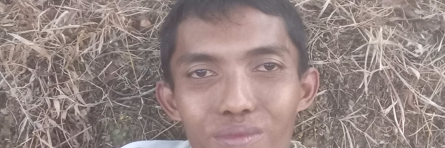 lipanjas's profile banner image