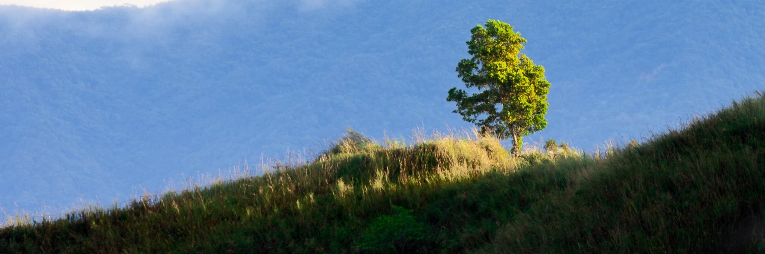 Celine Murillo banner