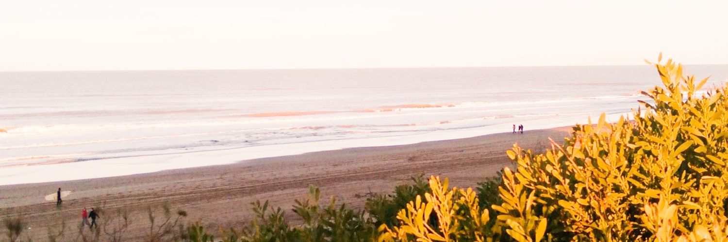 frannmoroni's profile banner image