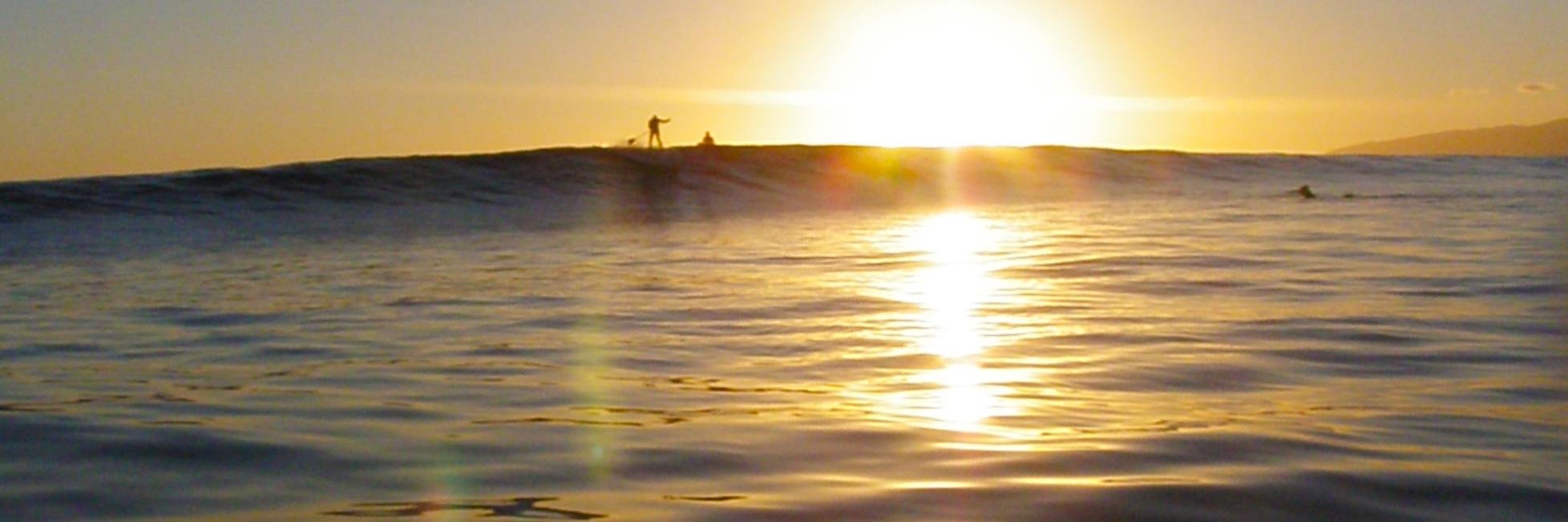 Ocean Outfitters banner