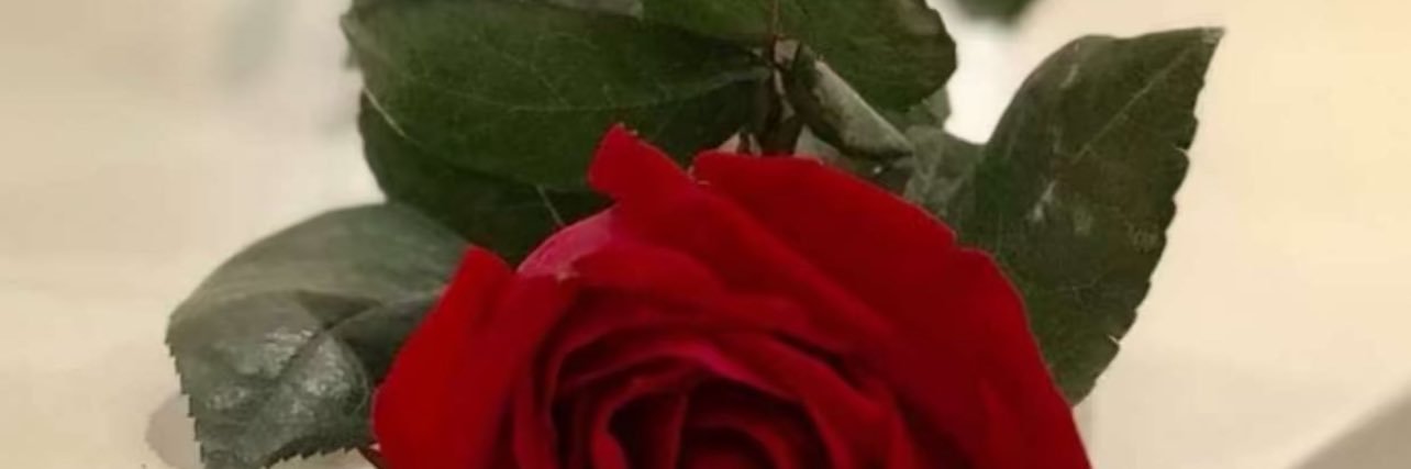 ام منى banner