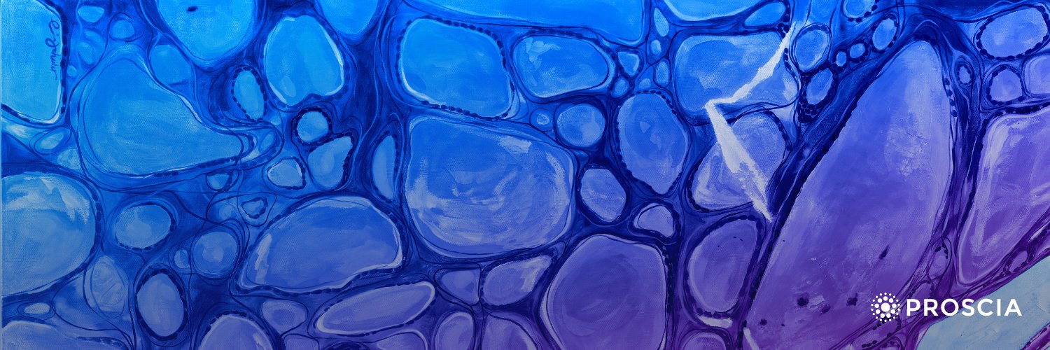 dwesty's profile banner image