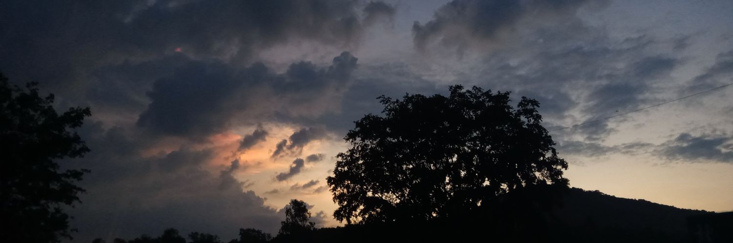 sassy_evee's profile banner image