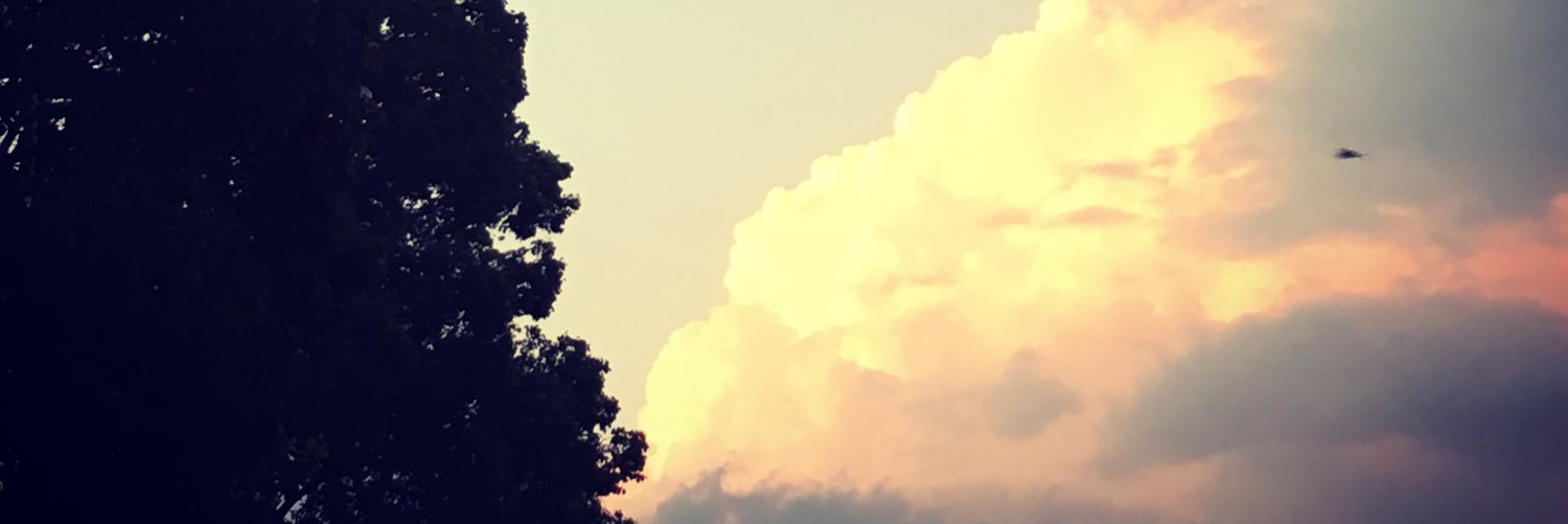 hszawa's profile banner image