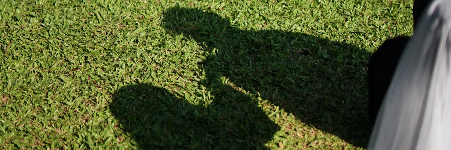 devintyaonx's profile banner image