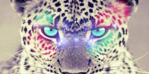 FelipeDivo's profile banner image