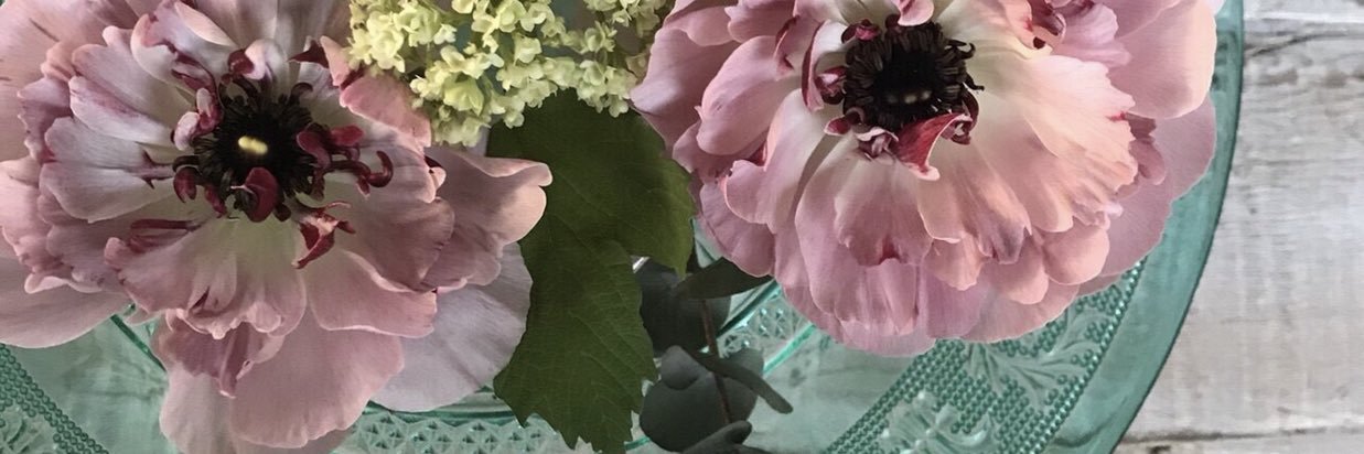 masuda_makiko's profile banner image