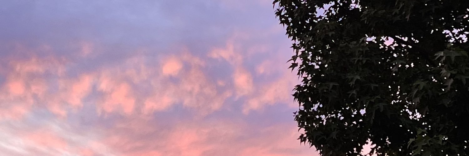 sunsetfloweer's profile banner image