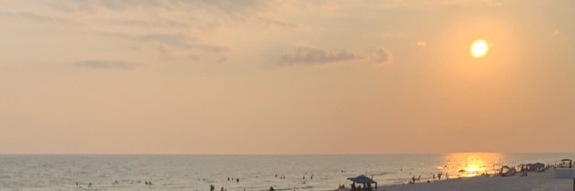 MS_Girl1977's profile banner image