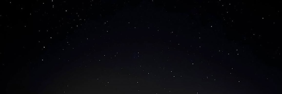 주디's banner