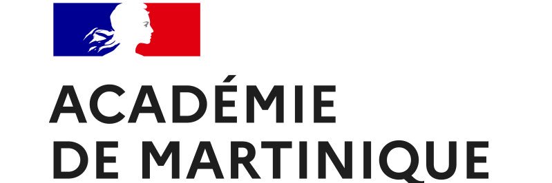 Collège Louis Delgrès banner