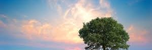 JamieCu43321161's profile banner image