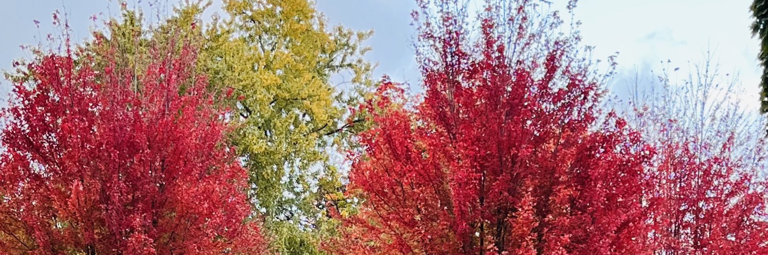 mmoals4's profile banner image