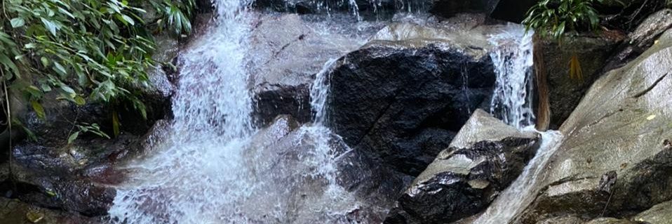 Renhanc's profile banner image