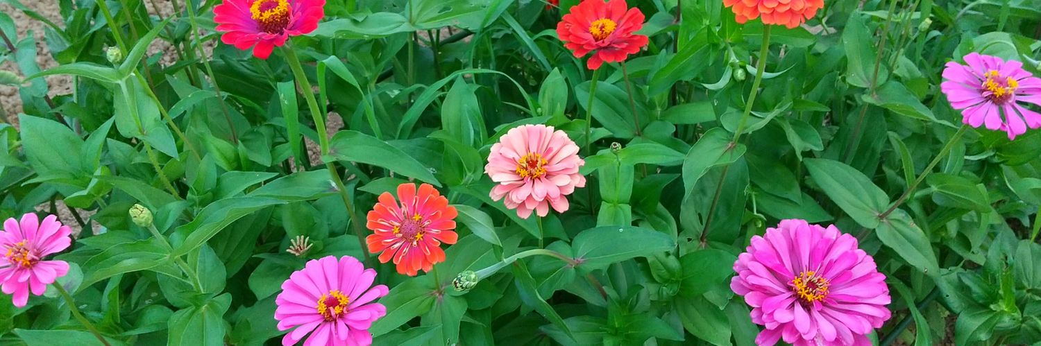 太郎!(Mark2) banner