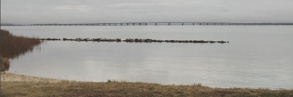 LEffronG's profile banner image