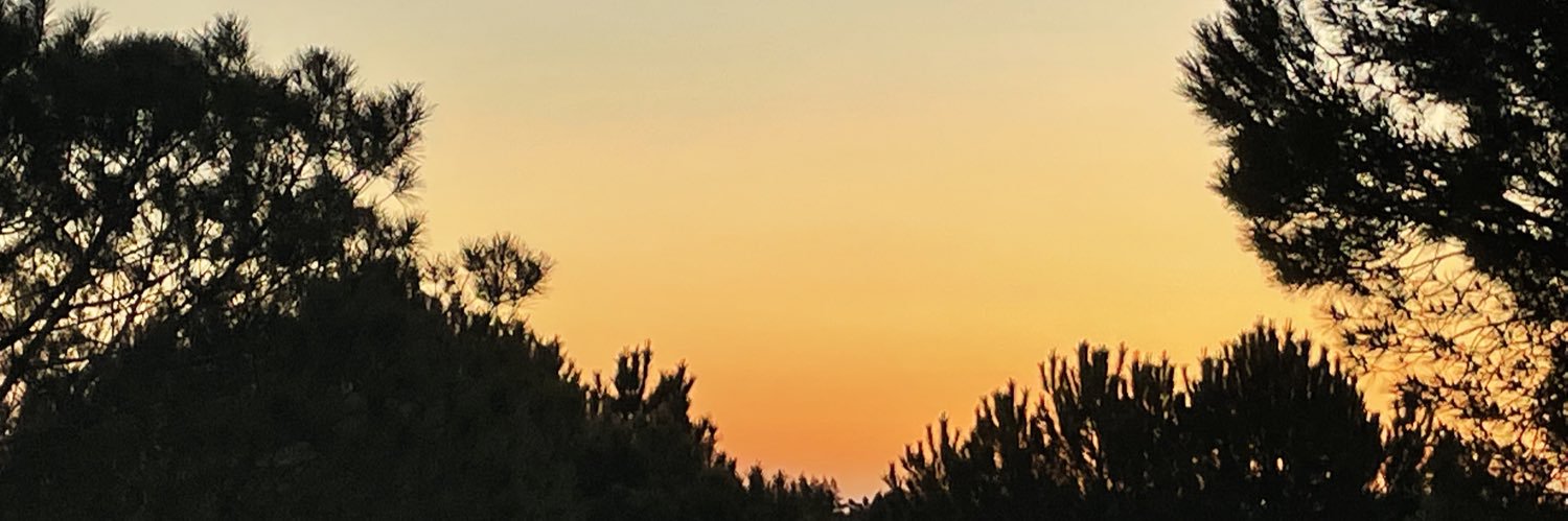 xSirPointx's profile banner image