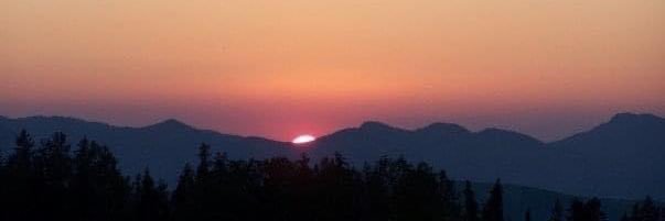 Amanda Sparks banner