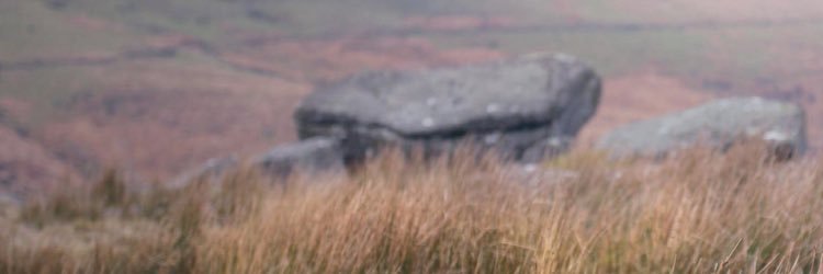 Beccareee's profile banner image