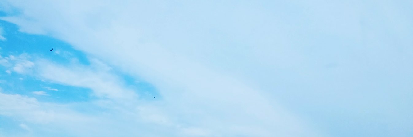 naminades's profile banner image