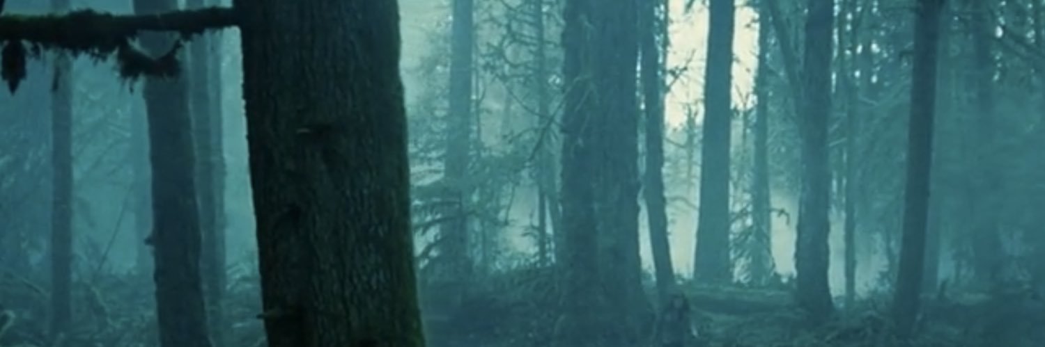 Angelvizion's profile banner image