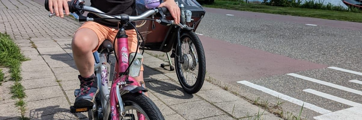 FrequentFlats #OneMoreBikeRack banner