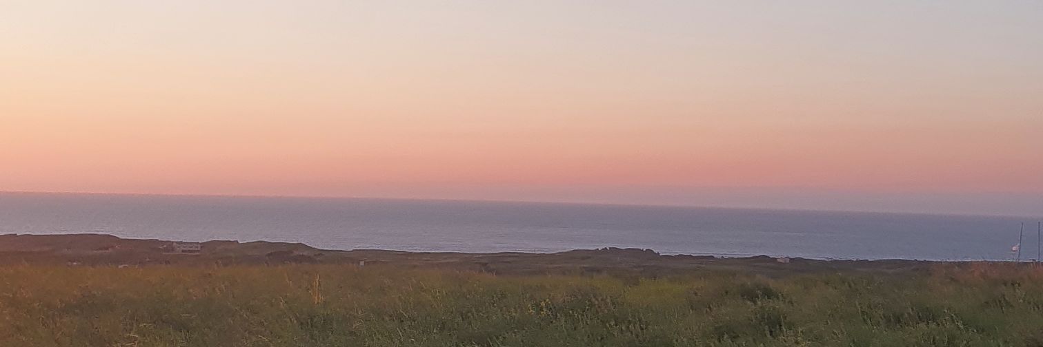 elii banner