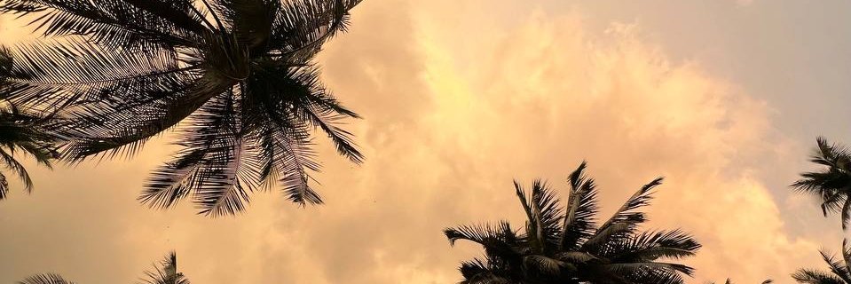 Anastasiia Rubinkovich banner