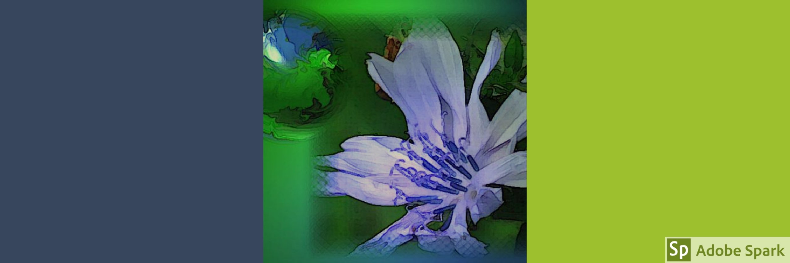 Ellen Trude 🕊🇺🇦 banner