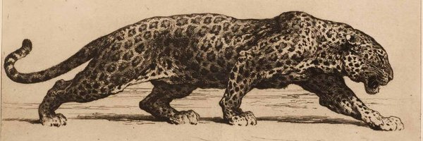 knowrohit07 Profile Banner