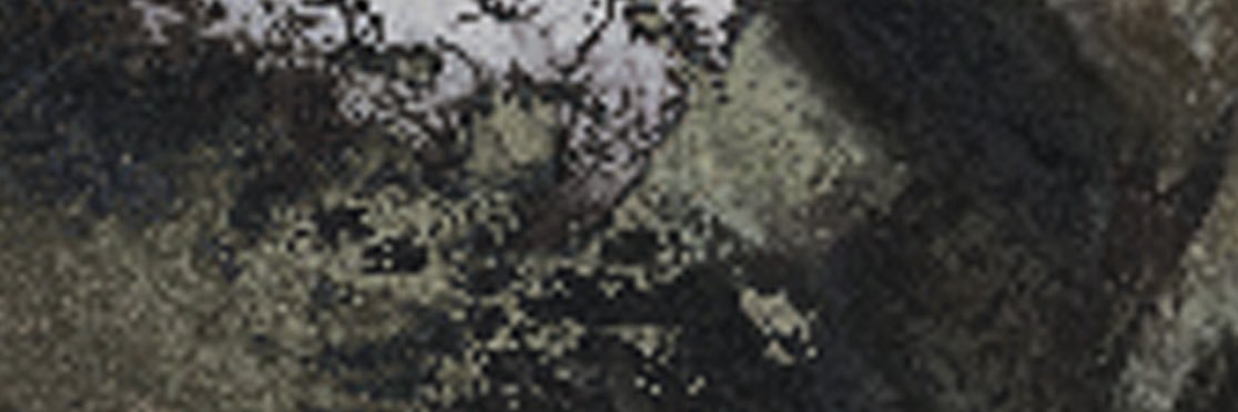 Ultraligera banner