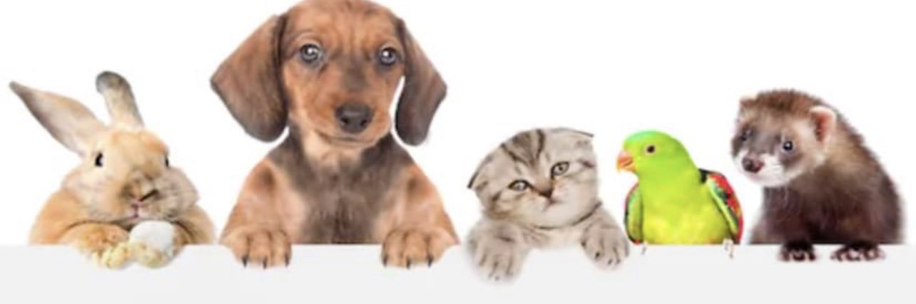 ecoshredbed's profile banner image