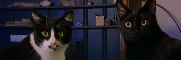 PhoebeButler97 Profile Banner