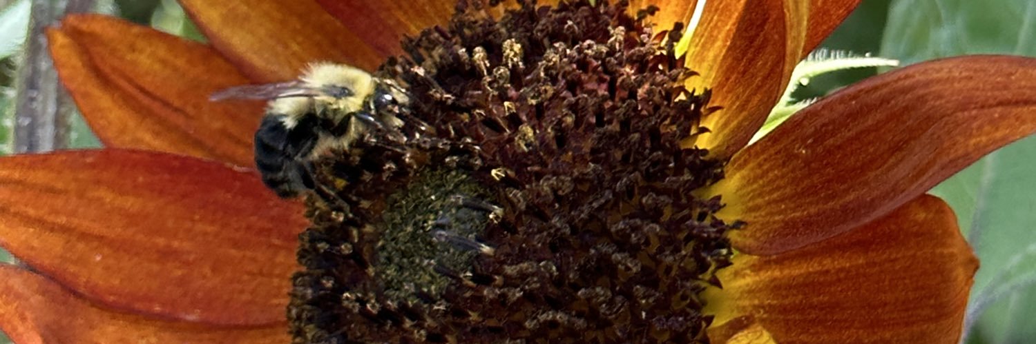 careerfolk's profile banner image